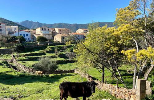 Appartements Résidence Casa Toga - Foto 20