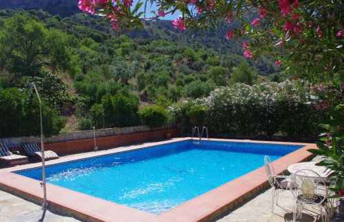 Finca Barreras - Photo 21