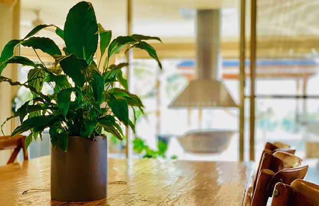 Grand Gippsland Home Sleeps Up To 28 - Foto 8