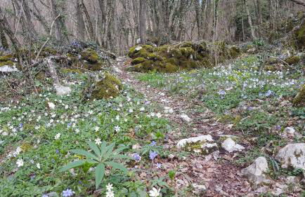 Casa Gildo 1828 - Foto 30