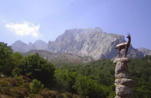 El Jermoso - Foto 18