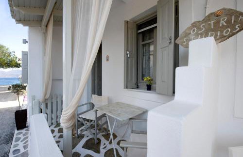 Ostria Studios - Foto 27