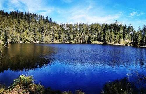 Traumhafte Maisonette-Wohnung im Schwarzwald - Foto 51