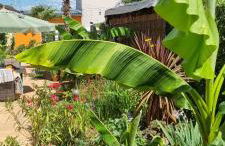 Grahl´s Ferienwohnung - Foto 43