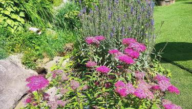 Willis Hütte - Foto 3, Other