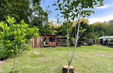 Chacara Sossego da Natureza - Foto 29