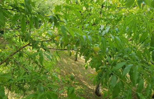 Apartman 2 - Foto 39