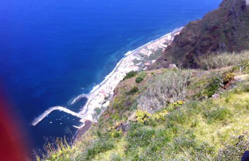 Blooming Botanic Houses - Foto 32