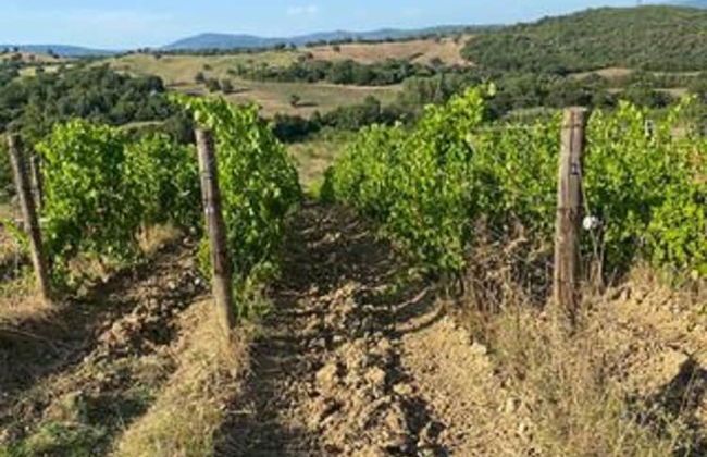 "la Casa Delle Bimbe" - Foto 15