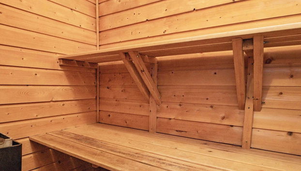 12 Person Holiday Home in Pandrup-by Traum - Foto 5, Sauna