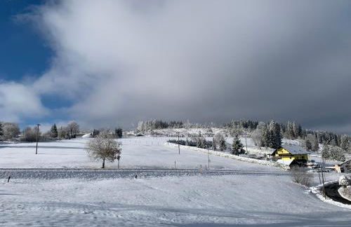 Rennsteig-Pension Trautwein - Foto 37