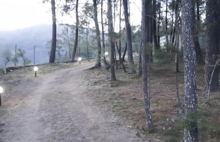 Casinha do Cedro - Foto 67