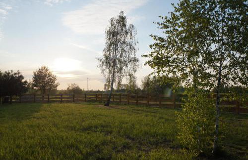 Drewniany Zakątek z sauną i jacuzzi - Foto 58