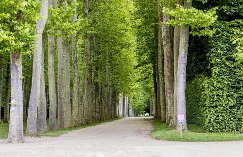 Les Petits Apparts Versailles - Foto 26