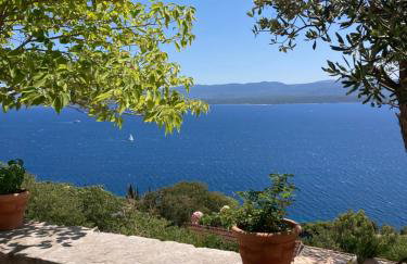 Blue Dream - Foto 44