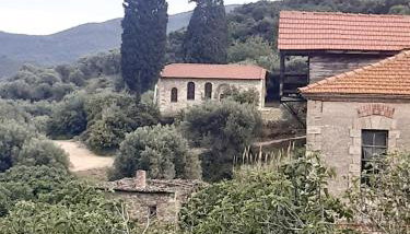 Studio Wilem - Foto 4