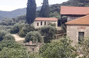 Studio Wilem - Foto 4