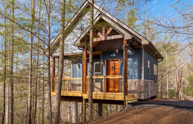 Cosby Knob - Unit 3 - Foto 1