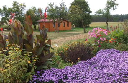 Ferienhaus Uckermark pur - Photo 9