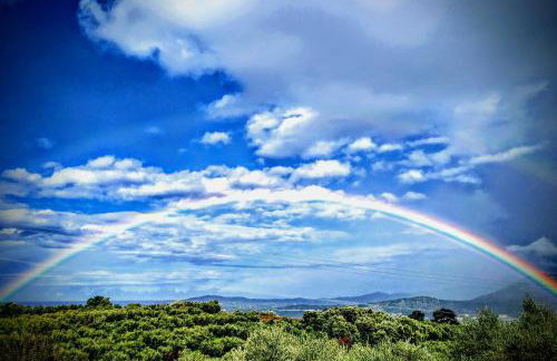 Suite of light rooms - Foto 33