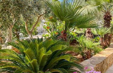 ACasammare Apartment - Foto 24