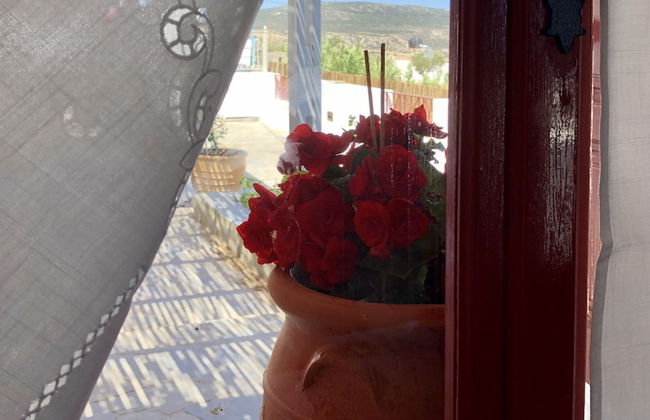 Kalliope Studios - Foto 31