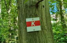 Ferienwohnung zum Hirschen - Foto 30