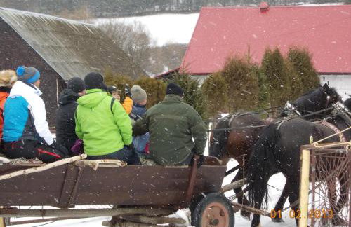 Nad Krolówką - Foto 31