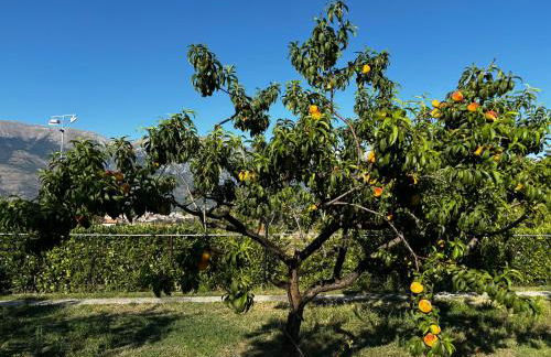 La Villa dei Nonni - Foto 65