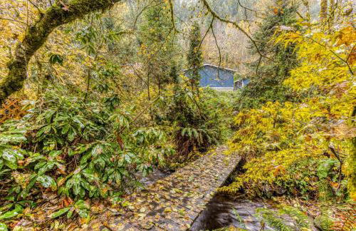 Shadowbrook Chalet - Foto 51