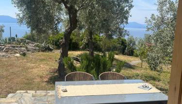 Haus im Olivenhain direkt am Meer - Foto 3