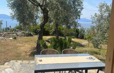 Haus im Olivenhain direkt am Meer - Foto 3