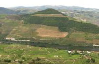 Dorigem Rooms - Foto 14