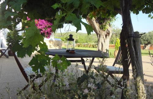 Agroturismo Sa Vinya d'en Palerm - Foto 55