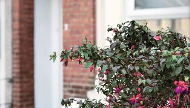 Richmond Luxury flat Fabulous location - Foto 2, Garden