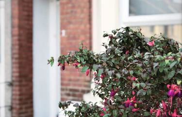 Richmond Luxury flat Fabulous location - Foto 2