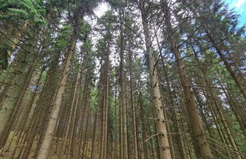 Große 3-Zimmer Wohnung Biggesee- Olpe ideal für Teams oder Familien - Foto 39