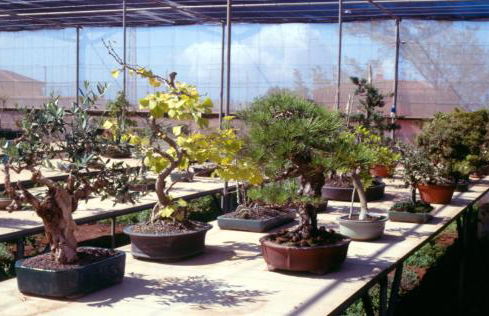 Casa Rural El Adelantado - Foto 30