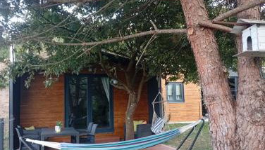 Refúgio Da Pinheira - Foto 2, Garden view