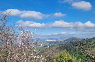 El Pitijopo - Foto 41