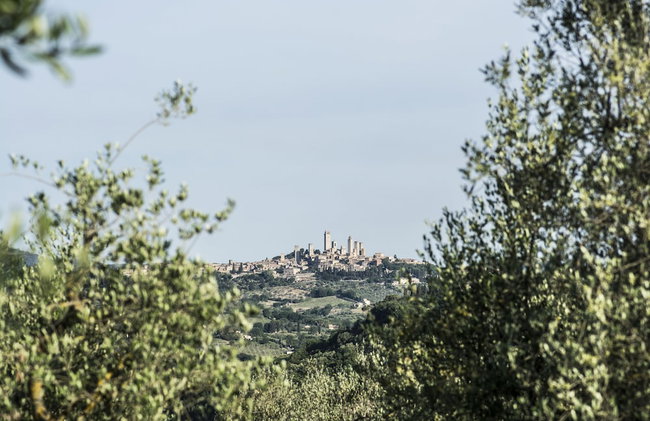 Croce di Bibbiano - Foto 66