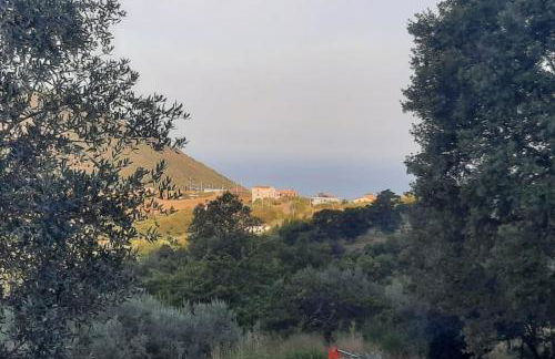 Villa Quattro Castagni - Foto 18