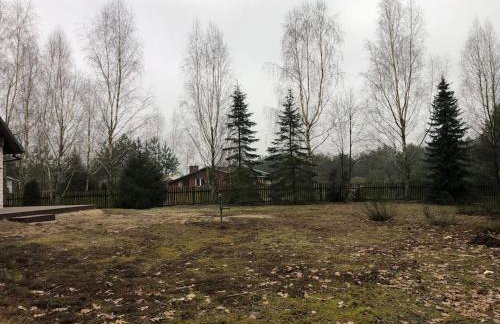 Zacisze leśne w Juliance - Foto 24