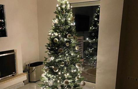 Legrena Beach Villa - Foto 41