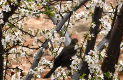 Appartamenti Arena - Foto 7