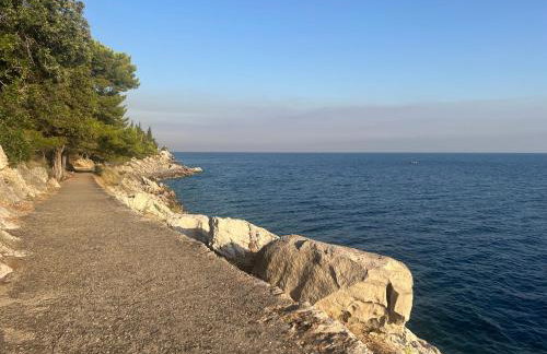 Studio Mira - Foto 21