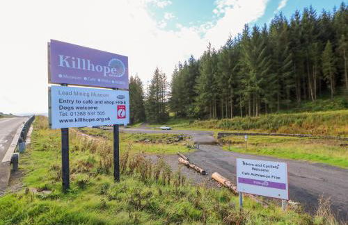 The Museum - Foto 40