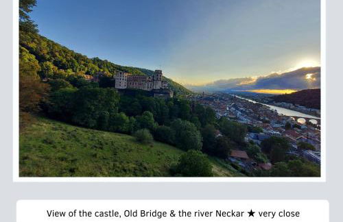 Charmante, ruhige Wohnung im Herzen der Altstadt von Heidelberg - Foto 25