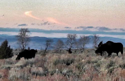 Pet-Friendly Yurt for an Off-the-Grid Getaway near Hyrum, Utah - Foto 17
