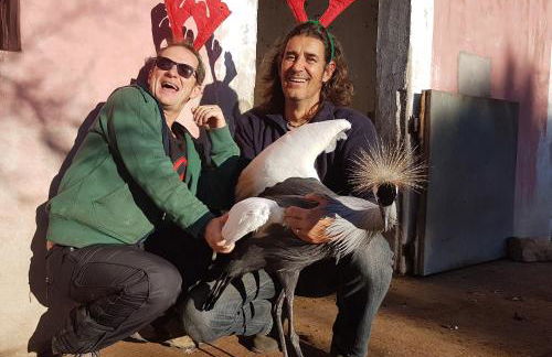 La Fattoria Delle Tartarughe - Foto 24